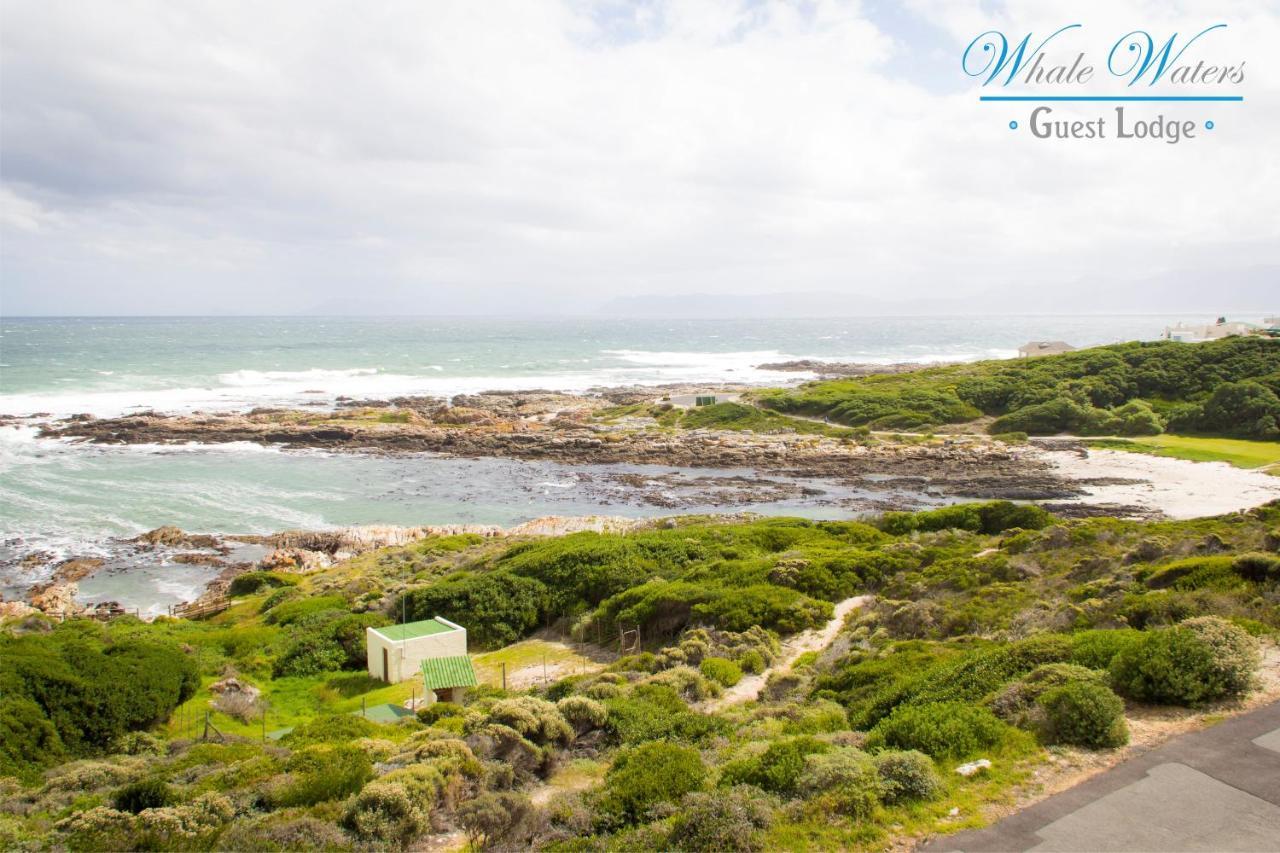 דירות דה קלדרס Whale Waters Self Catering Gansbaai מראה חיצוני תמונה